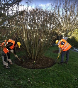 82862322_605059843664877_2761541109493530624_n